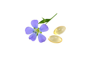 Flax Flower and capsules