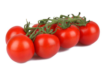 Tomaten