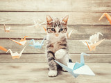 Kitten playing with colorful paper birds cranes