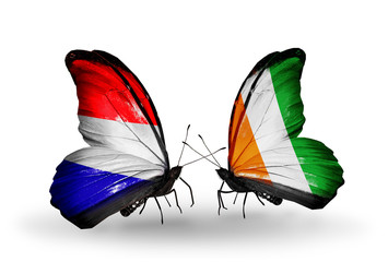 Two butterflies with flags Holland and Cote Divoire
