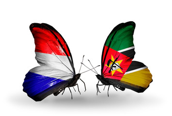 Two butterflies with flags Holland and Mozambique