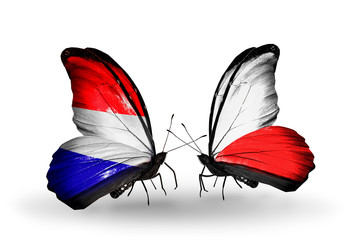 Two butterflies with flags Holland and Poland