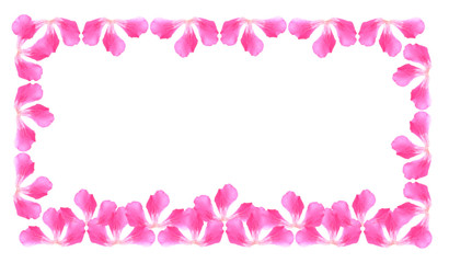 floral background of pink flowers