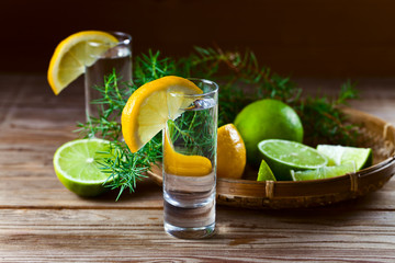 Gin with lemon and juniper branch