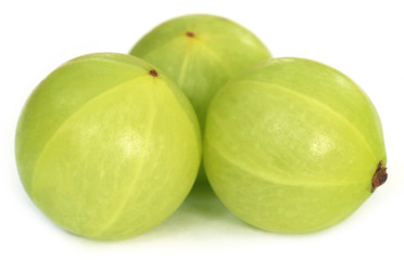 Amla fruits