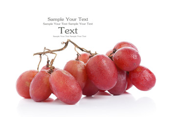 grapes on white background