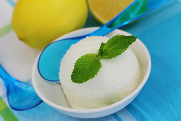 Lemon sorbet garnished with mint leaf