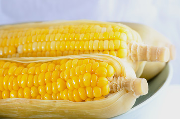 Closeup corn boiled