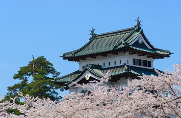 Cherry blossoms at the Hirosaki Castle Park in Hirosaki, Aomori,