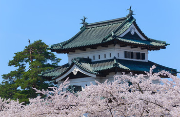Cherry blossoms at the Hirosaki Castle Park in Hirosaki, Aomori,