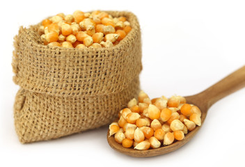 Corns in sack bag with spoon