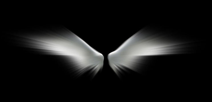 Angel wings isolated on the black background