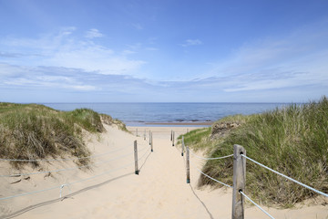 Path to the Beach in Summer