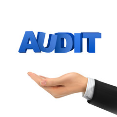 3d hand holding audit words