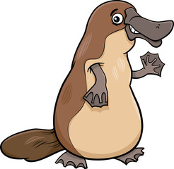 platypus animal cartoon illustartion