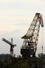 Port crane