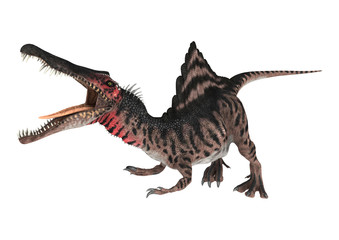 Dinosaur Spinosaurus