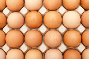 Hühnereier