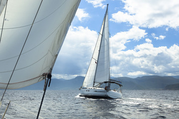 Naklejka premium Sailing regatta in inclement weather. Sailboats. Yachting.