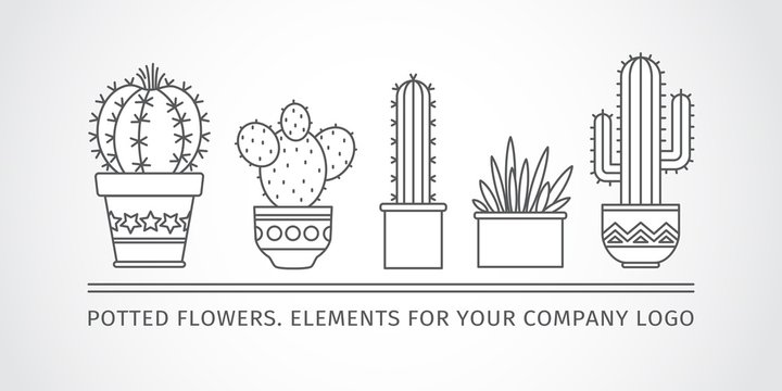 linear design potted cactus. corporate logo. Vector