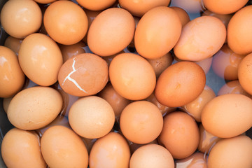 boiled egg