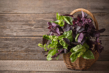 purple and green basil on a wooden background