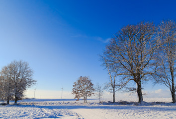 Winter landscape trees snow covered fields windmills