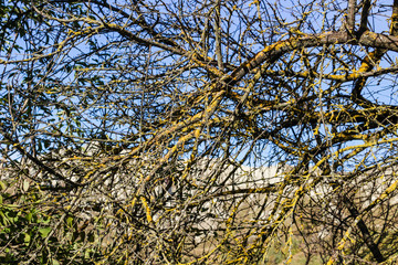 Cultivated fields under chalk badlands