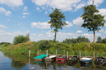 Naklejka na ściany i meble Row boats in river