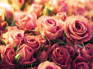 beautiful flowers