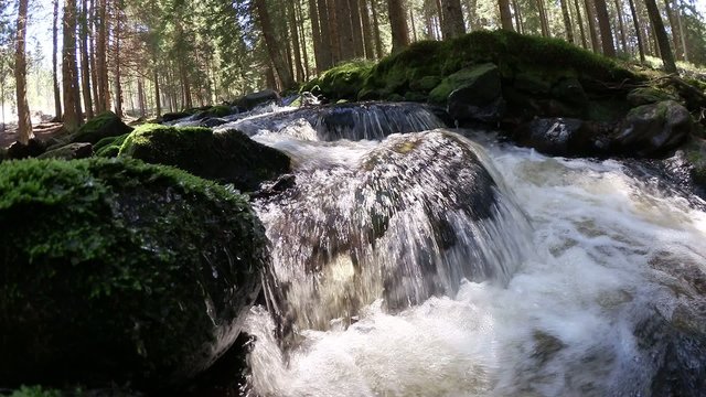water stream in the woods