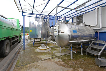 Fototapeta premium Dairy and milk