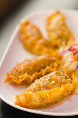 fried Dumplings