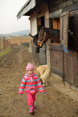 horse jumping