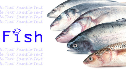 Fresh fish isolated on white