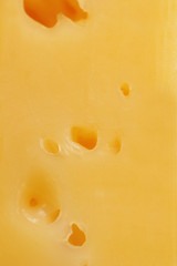 Close-up of cheese (macro)