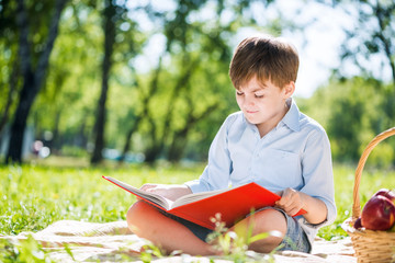 Boy in summer park