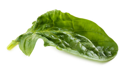 Spinach leaf isolated on white
