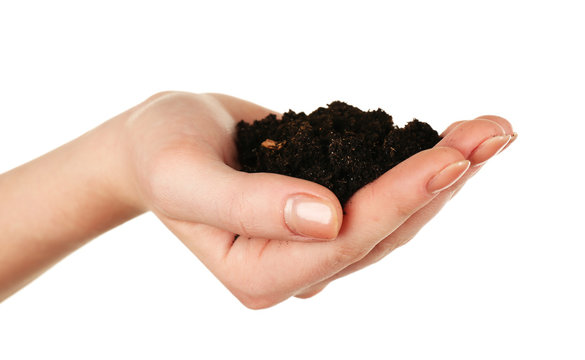 Handful of soil isolated on white