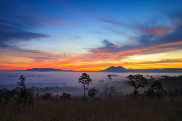 Fototapeta na wymiar misty morning sunrise in mountain at Thung Salang Luang National