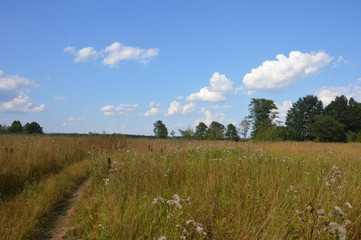 Брянская природа