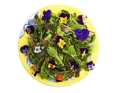 Flower Salad