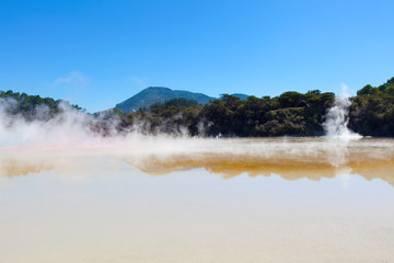 geothermal area in new zealand