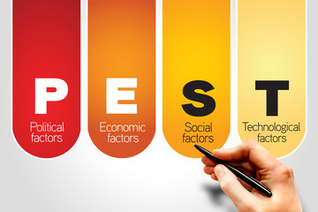 Pest Business Infographic presentation, analysis strategy