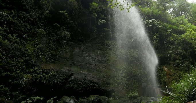 4K, Cascada De Los Tilos, Waterfall on La Palma, Canaries
