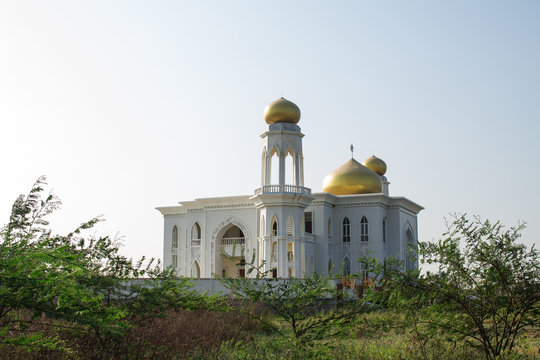 Mosque with the forest background