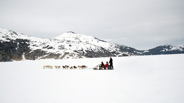 Panorama of huskies and malamutes pull dog sled rider tourists a