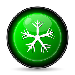 Fototapeta premium Snowflake icon