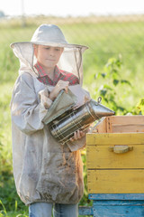 Teenage beekeeper and seasonal honey harvesting