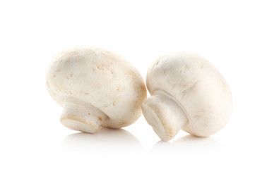 Fototapeta na wymiar mushrooms and raw mushrooms isolated on white background